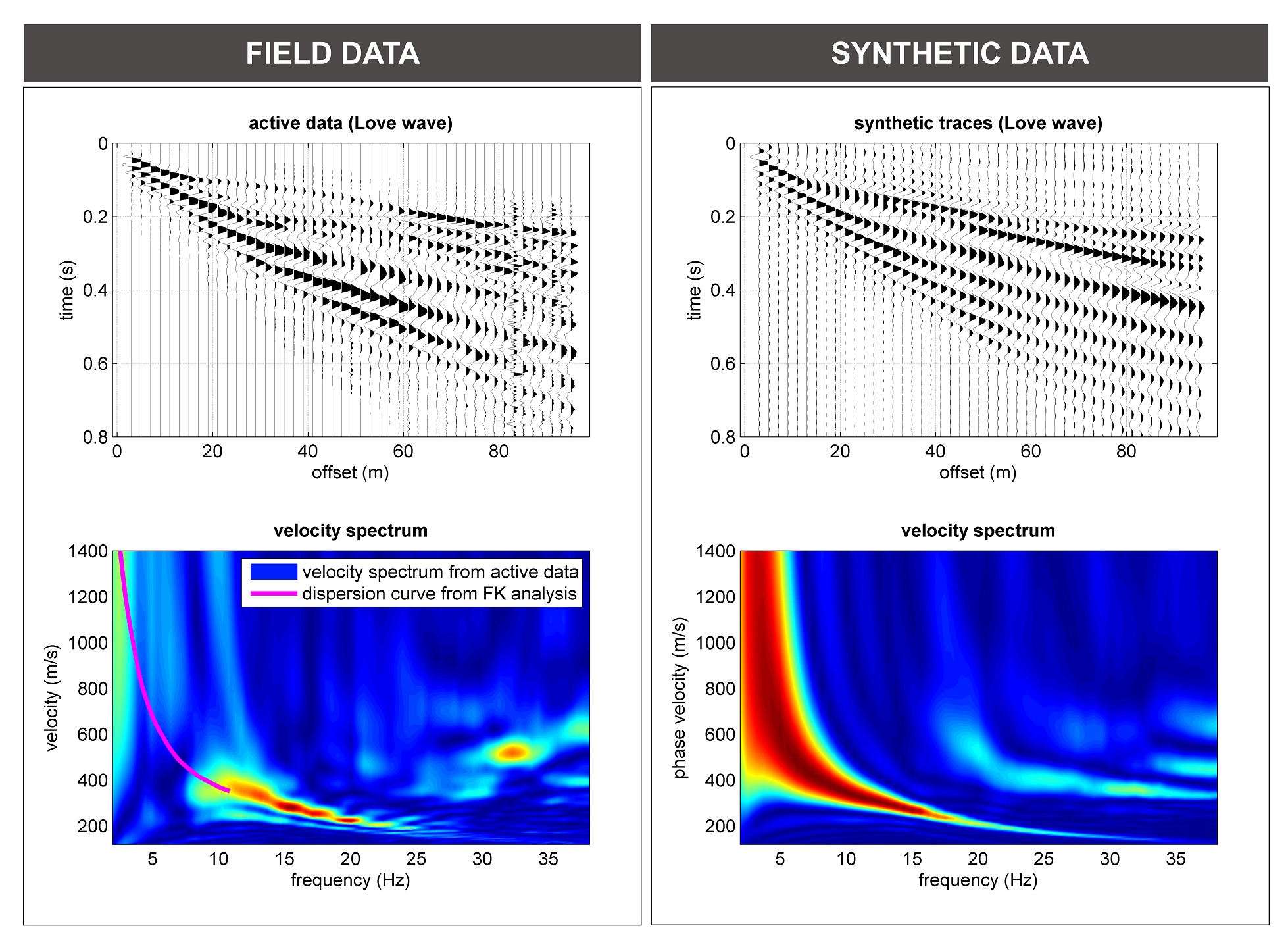 Love waves (THF): field data (on the left) and synthetic traces for FVS analysis